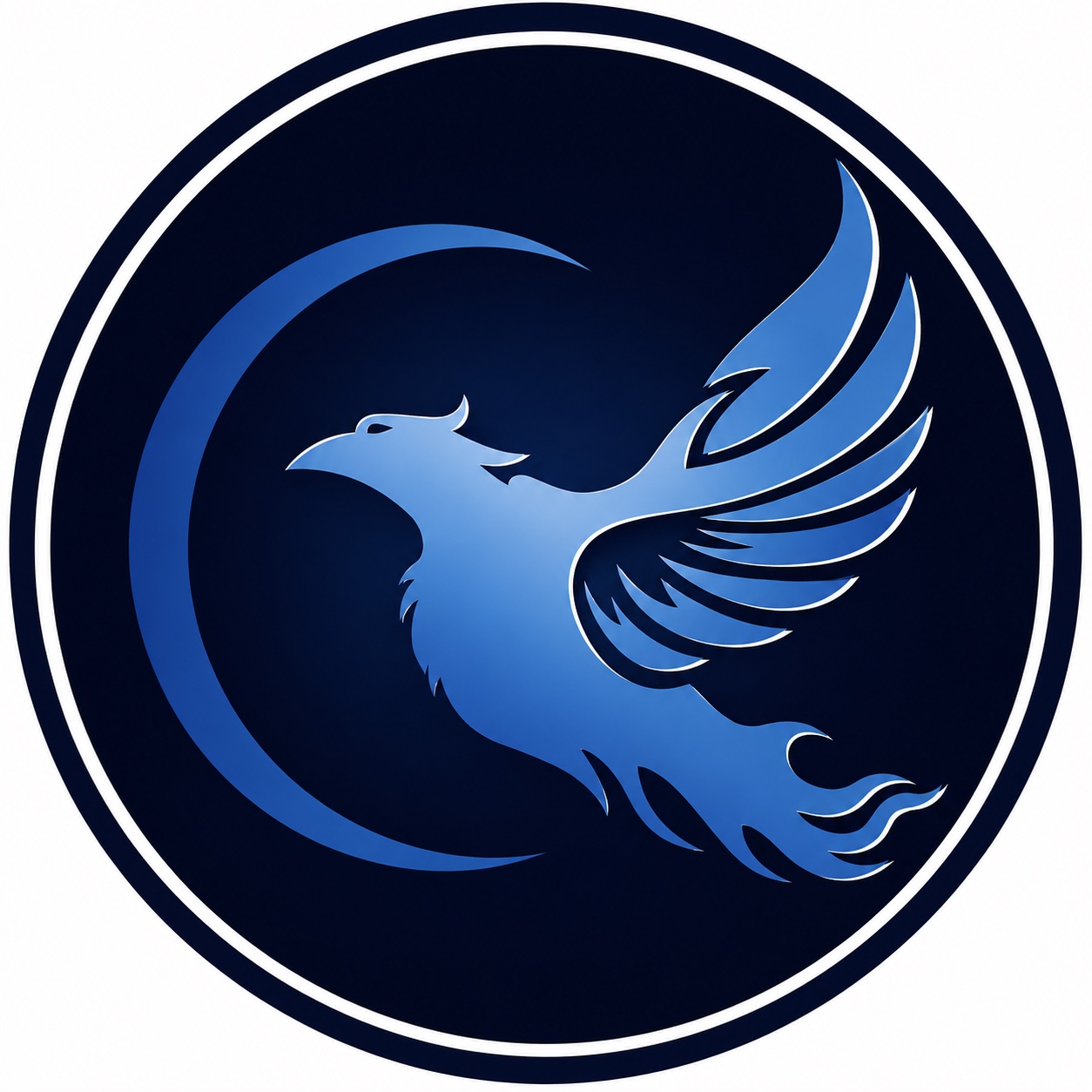 Blue Phoenix Academy phoenix logo